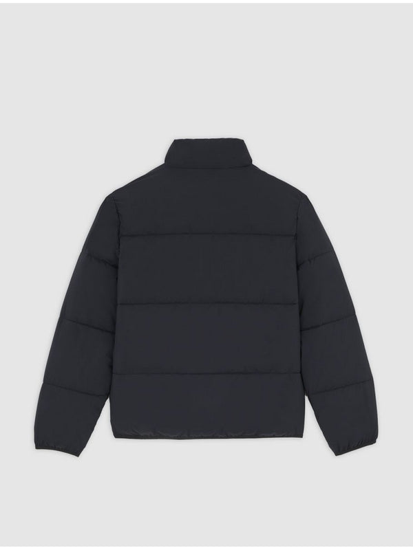 Piumini Uomo Dickies - Piumino Summerdale - Nero