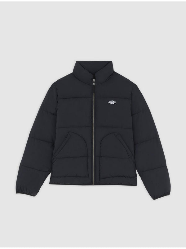 Piumini Uomo Dickies - Piumino Summerdale - Nero