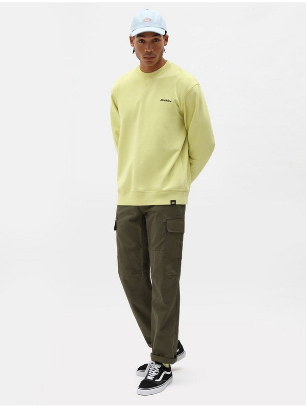 Pantaloni Uomo Dickies - Pantaloni cargo Millerville - Verde