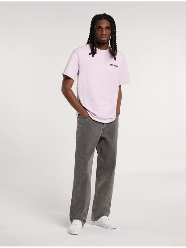 Jeans Uomo Dickies - Jeans dritti relaxed Thomasville - Grigio