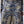 Carica l'immagine nel Visualizzatore galleria, Liu jo Pantalone tessuto St.foulard araldic b CA6230 TS555-P9652
