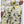 Carica l'immagine nel Visualizzatore galleria, Liu jo Pantalone tessuto Green shades/wh.milk TA6257 T358A-P9217
