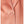 Carica l'immagine nel Visualizzatore galleria, Blugirl Giacca Sand sand RA6156T448A-61212
